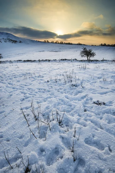 Mooie sneeuw overdekte zonsopkomst winterlandschap — Stockfoto