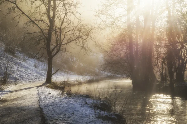 Hermoso invierno cubierto de nieve paisaje de río flo — Foto de Stock