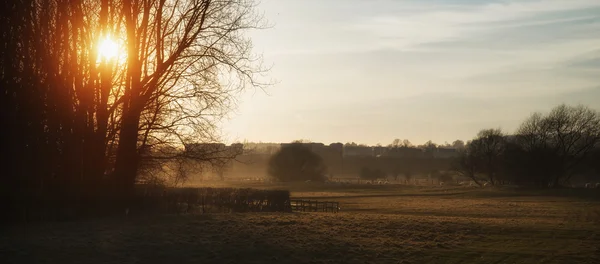 Prachtige zonsondergang landschap schijnt door bomen op prachtige — Stockfoto