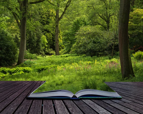 Imagen de paisaje de hermoso bosque verde exuberante y vibrante bosque — Foto de Stock