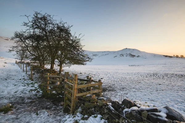 Beautiful snow covered sunrise Winter rural landscape — Stock Photo, Image