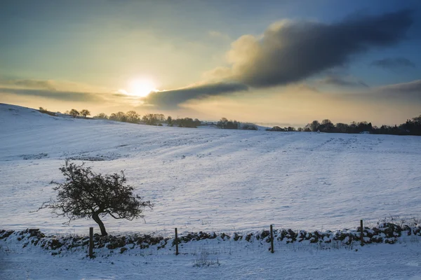 Beautiful Winter landscape over snow covered Winter countryside — Stock Photo, Image