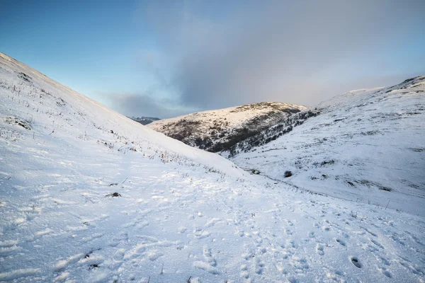 Bella neve coperta alba Inverno paesaggio rurale — Foto Stock