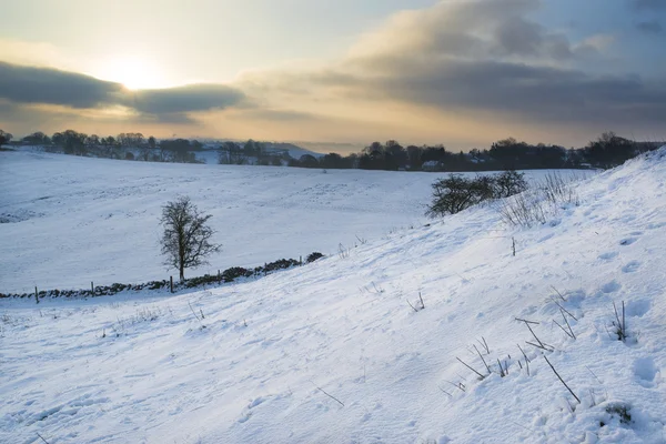 Beautiful Winter landscape over snow covered Winter countryside — Stock Photo, Image