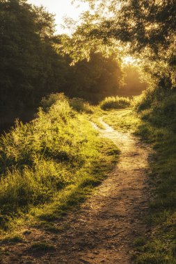 Beautiful stunning sunrise landscape of sunlight glowing on foot