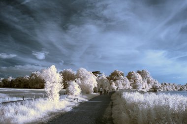 Stunning beautioful unique infra red landscape with false color  clipart