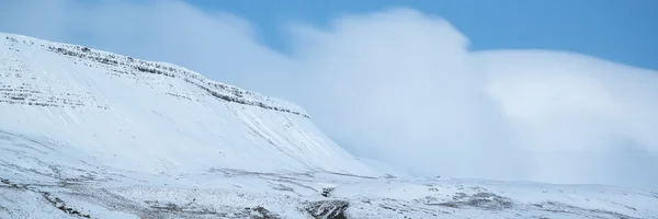 Kış panoramik manzara kar çarpıcı kırsal zekâ kaplı — Stok fotoğraf