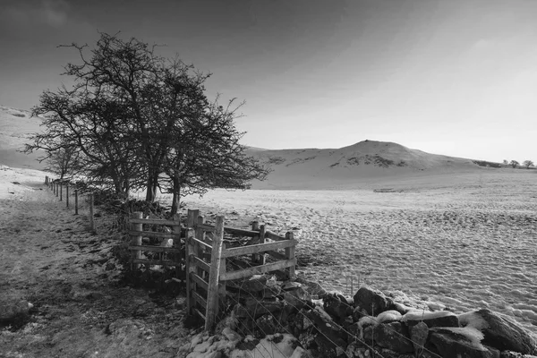Vacker snö täckta sunrise landsbygdens vinterlandskap i monochr — Stockfoto