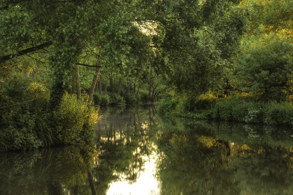 Splendido bellissimo paesaggio all'alba sul fiume la mattina d'estate — Foto Stock