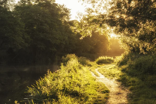 Прекрасний приголомшливий схід сонця пейзаж сонячного світла, що світить пішки — стокове фото