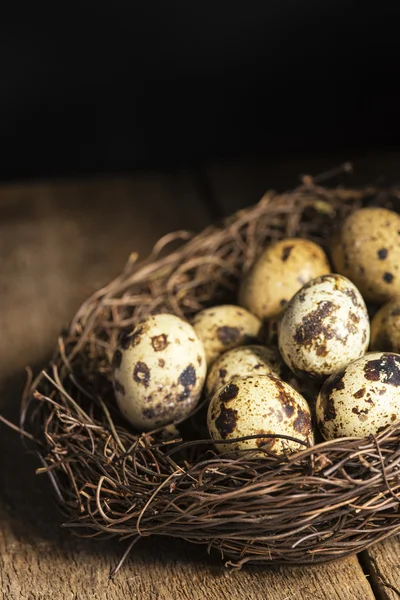 Moody natural lighting vintage retro style image of quaills eggs — Stock Photo, Image