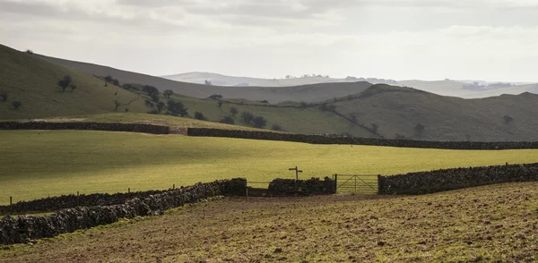 Beautiful bright landscape image of Peak District on sunny Sprin — Stock Photo, Image