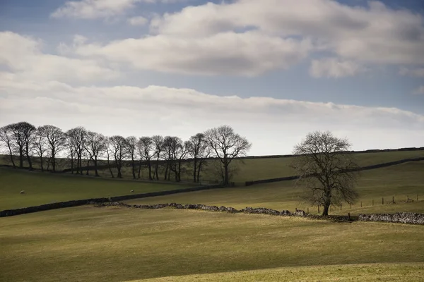 Gyönyörű világos táj kép a Peak District, a napos Tavasz nem messze. — Stock Fotó