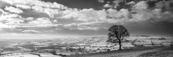 Paesaggio di campagna in inverno in bianco e nero — Foto Stock