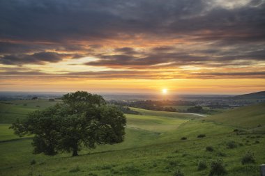 Güzel yaz günbatımı manzara South Downs Steyning kase 
