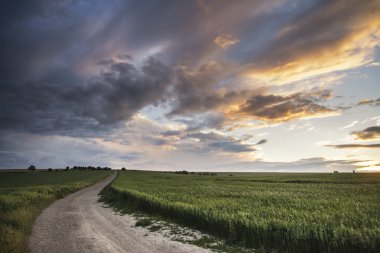 Güzel yaz günbatımı manzara South Downs Steyning kase 