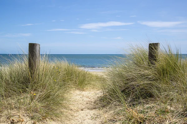 Schöne Sanddünen und Strandlandschaft an sonnigen Sommertagen — Stockfoto