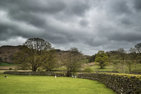 Lake District paesaggio con cielo tempestoso sulla campagna anf fie — Foto Stock