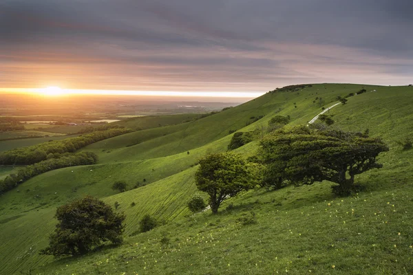 Ráno nad zvlněné krajině anglický venkov na jaře — Stock fotografie