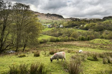 Lake District manzara kırsal üzerinde fırtınalı gökyüzü ile anf bes