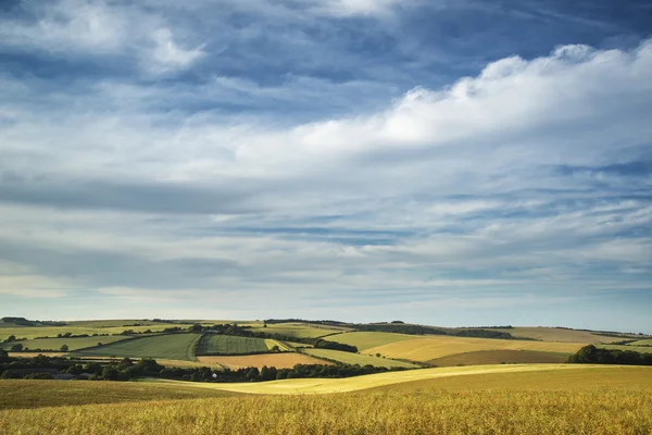 Paisaje de verano sobre el campo agrícola de cultivos a finales de un — Foto de Stock