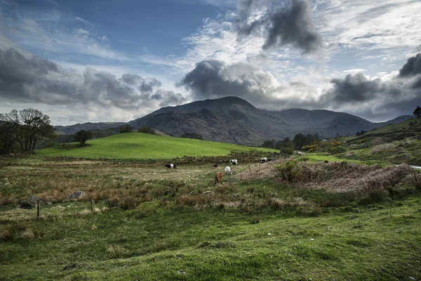 Lake District paesaggio con cielo tempestoso sulla campagna anf fie — Foto Stock