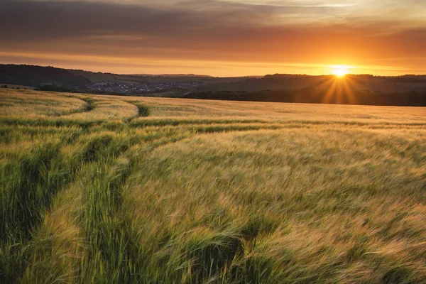 Piękny letni wibrujący zachód krajobraz nad upraw rolnych — Zdjęcie stockowe