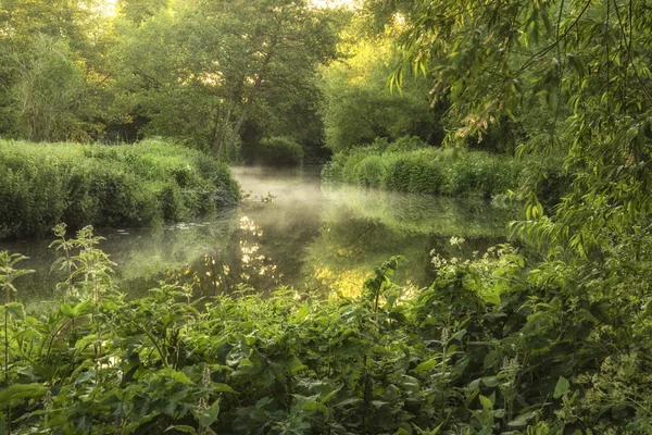 Fantastisk vacker soluppgång landskap över floden på sommaren Godmorgon — Stockfoto