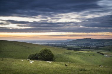 Güzel yaz günbatımı manzara South Downs Steyning kase 