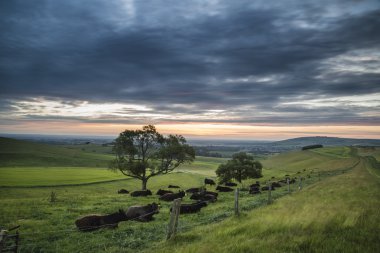 Güzel yaz günbatımı manzara South Downs Steyning kase 
