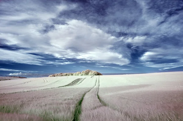 Stunning surreal false color infrared Summer landscape over agri — Stock Photo, Image