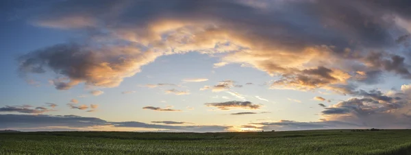 Beautiful panorama landscape South Downs countryside in Summer — Stock Photo, Image