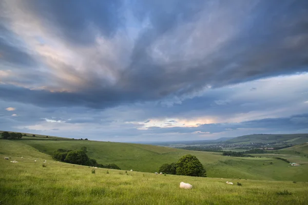 Beautiful Summer sunset landscape Steyning Bowl on South Downs — Stock Photo, Image