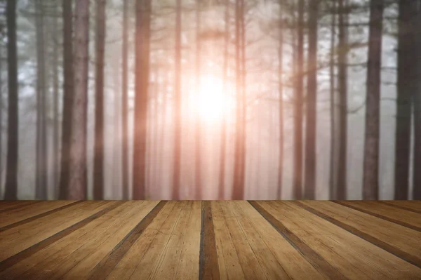 Τοπίο του δάσους με την πυκνή ομίχλη φθινόπωρο φθινόπωρο με ήλιο έκρηξη — Φωτογραφία Αρχείου