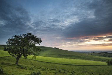 Güzel yaz günbatımı manzara South Downs Steyning kase 
