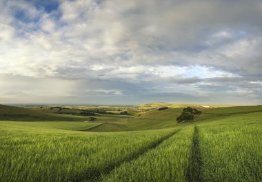 Güzel panorama manzara yaz aylarında Güney Downs kırsal