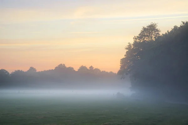 Paisagem nebulosa durante o nascer do sol na paisagem rural inglesa — Fotografia de Stock
