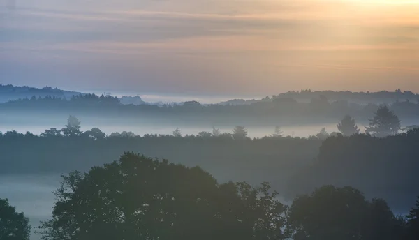 Forest landscape with layers of mist at sunrise in countryside