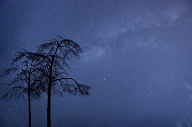 Samanyolu galaksi görüntü ile gece gökyüzünün yıldızları temizleyin
