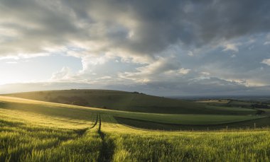 Güzel panorama manzara yaz aylarında Güney Downs kırsal