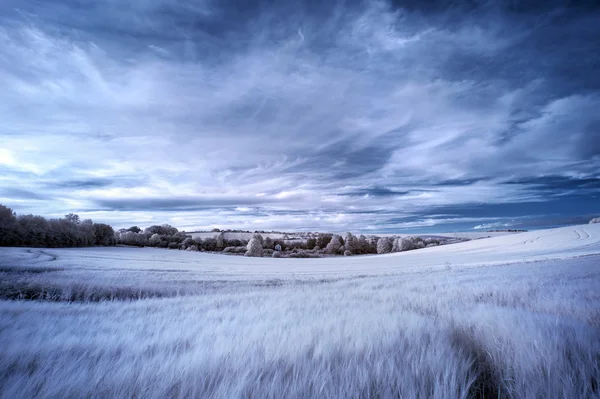 Impressionante surreal falsa cor infravermelho paisagem verão sobre agri — Fotografia de Stock