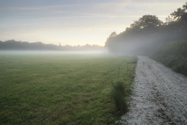 Mistige landschap tijdens zonsopgang in Engels platteland landschap — Stockfoto