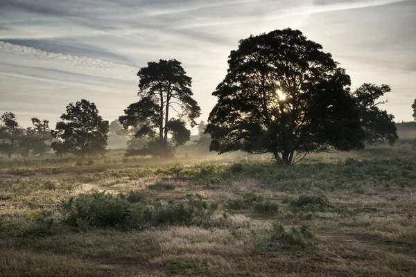 Neblige Landschaft bei Sonnenaufgang in englischer Landschaft — Stockfoto