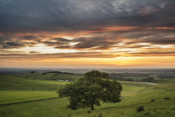 Piękny letni zachód krajobraz Steyning miska na South Downs — Zdjęcie stockowe