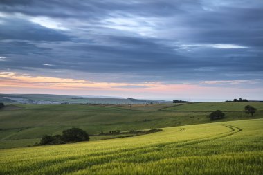 Güzel yaz günbatımı manzara South Downs Steyning kase 