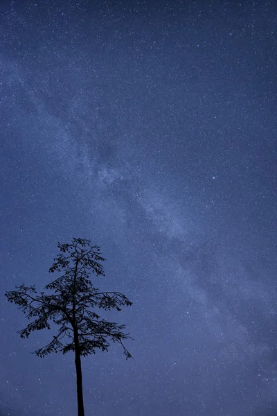 Voie lactée image galaxie du ciel nocturne avec des étoiles claires — Photo