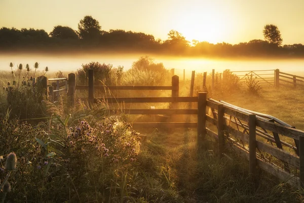 在有雾的英国乡村，与 g 日出景色 — 图库照片
