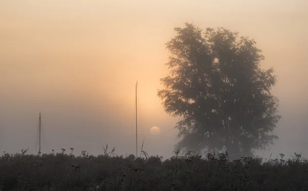 Superbe lever de soleil luisant sur la rivière brumeuse dans le paysage rural — Photo