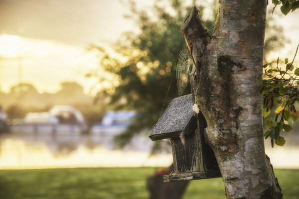 Рассвет над туманной рекой с крупным планом птичьего домика

