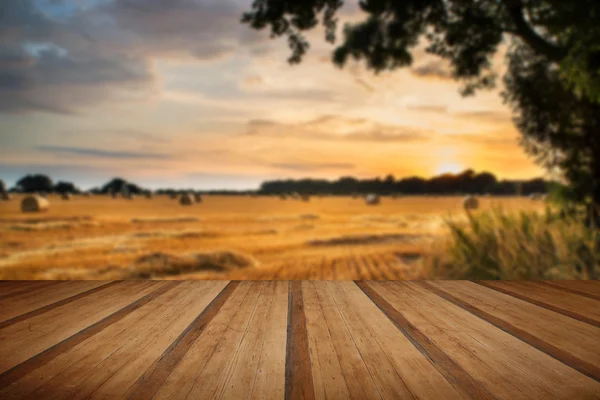 Rural landscape image of Summer sunset over field of hay bales w — Stock Photo, Image